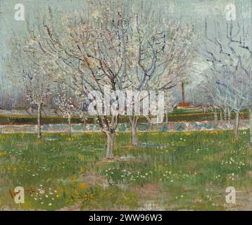 Vincent van Gogh – verger avec des pruniers en fleurs Banque D'Images