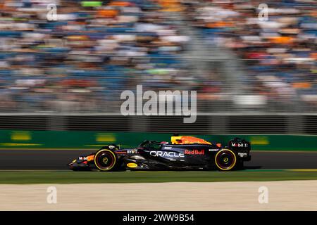 Albert Park, Australie, 22 mars 2024. Pays-Bas Max Verstappen pilotant pour l'Autriche Oracle Red Bull Racing lors du Rolex Australian Formula One Grand Prix 2024 sur le circuit du Grand Prix de Melbourne le 22 mars 2024 à Albert Park, en Australie. Crédit : Ivan Glavas/Speed Media/Alamy Live News Banque D'Images