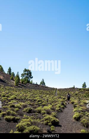 Homme randonneur marchant le long d'un sentier sur la Ruta de los volcanes (route des volcans), Parque Natural Cumbre Vieja, la Palma, îles Canaries Banque D'Images