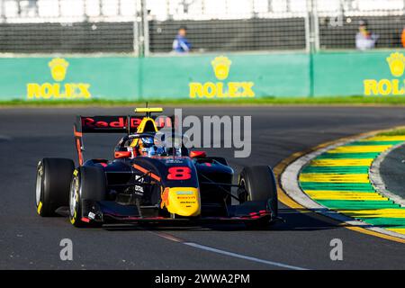 08 SZTUKA Kacper (pol), MP Motorsport, Dallara F3 2019, action lors de la 2ème manche du Championnat FIA de formule 3 2024 du 22 au 24 mars 2024 sur le circuit Albert Park, à Melbourne, Australie - photo Xavi Bonilla / DPPI Banque D'Images