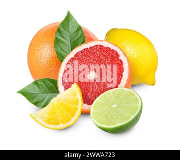 Agrumes. Pamplemousses frais, citrons et citron vert sur fond blanc Banque D'Images