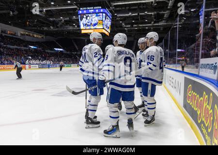 22 mars 2024 : les joueurs des Marlies de Toronto célèbrent un but en première période contre les Américains de Rochester. Les Américains de Rochester ont accueilli les Marlies de Toronto dans un match de la Ligue américaine de hockey au Blue Cross Arena de Rochester, New York. (Jonathan Tenca/CSM) Banque D'Images