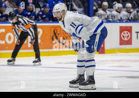 22 mars 2024 : L’attaquant des Marlies de Toronto Logan Shaw (11 ans) patine en troisième période contre les Américains de Rochester. Les Américains de Rochester ont accueilli les Marlies de Toronto dans un match de la Ligue américaine de hockey au Blue Cross Arena de Rochester, New York. (Jonathan Tenca/CSM) Banque D'Images