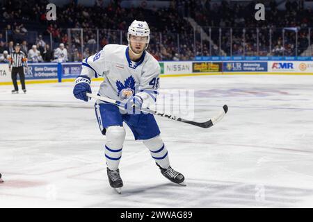 22 mars 2024 : le défenseur des Marlies de Toronto Max Lajoie (48) patine en troisième période contre les Américains de Rochester. Les Américains de Rochester ont accueilli les Marlies de Toronto dans un match de la Ligue américaine de hockey au Blue Cross Arena de Rochester, New York. (Jonathan Tenca/CSM) Banque D'Images