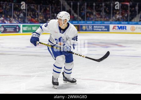 22 mars 2024 : L'attaquant des Marlies de Toronto Alex Steeves (46) patine en troisième période contre les Americans de Rochester. Les Américains de Rochester ont accueilli les Marlies de Toronto dans un match de la Ligue américaine de hockey au Blue Cross Arena de Rochester, New York. (Jonathan Tenca/CSM) Banque D'Images