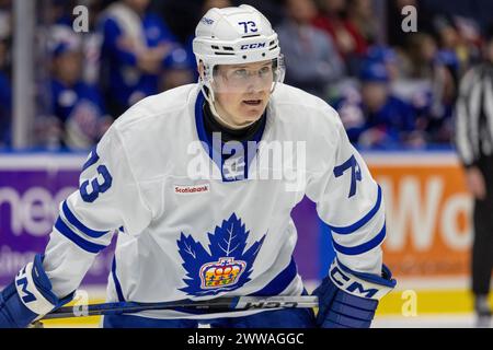 22 mars 2024 : L’attaquant des Marlies de Toronto Zach Solow (73) patine en troisième période contre les Américains de Rochester. Les Américains de Rochester ont accueilli les Marlies de Toronto dans un match de la Ligue américaine de hockey au Blue Cross Arena de Rochester, New York. (Jonathan Tenca/CSM) Banque D'Images