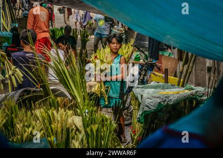 Antipolo City, Rizal, Philippines. 23 mars 2024. Les gens préparent des branches de palmier à côté de la rue en commémoration du dimanche des Rameaux à Antipolo City, Philippines, le 23 mars 2024. Les frondes de palmier ont été historiquement liées à la victoire et au triomphe dans de nombreuses cultures. Les fidèles catholiques symbolisent le dimanche des Rameaux comme le début de la semaine Sainte. (Crédit image : © Ryan Eduard Benaid/ZUMA Press Wire) USAGE ÉDITORIAL SEULEMENT! Non destiné à UN USAGE commercial ! Banque D'Images