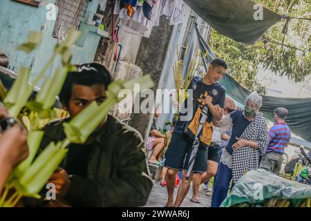 Antipolo City, Rizal, Philippines. 23 mars 2024. Les gens préparent des branches de palmier à côté de la rue en commémoration du dimanche des Rameaux à Antipolo City, Philippines, le 23 mars 2024. Les frondes de palmier ont été historiquement liées à la victoire et au triomphe dans de nombreuses cultures. Les fidèles catholiques symbolisent le dimanche des Rameaux comme le début de la semaine Sainte. (Crédit image : © Ryan Eduard Benaid/ZUMA Press Wire) USAGE ÉDITORIAL SEULEMENT! Non destiné à UN USAGE commercial ! Banque D'Images