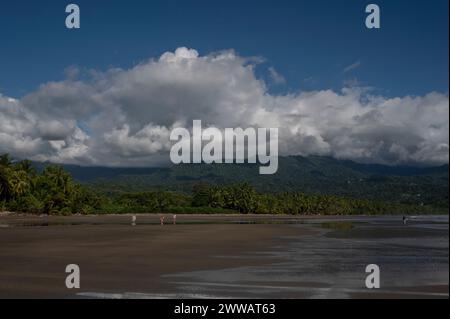 Le tourisme et les affrètements de bateaux augmentent sur la plage préservée d'Uvita au Costa Rica. Banque D'Images