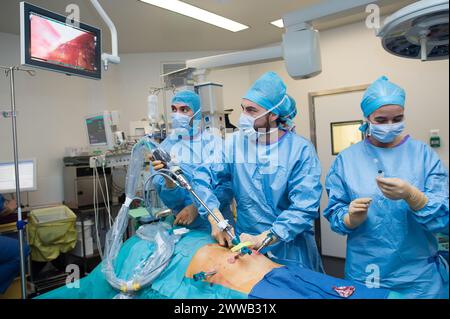 Compte rendu au CHU de Nice, Hôpital Pasteur. Banque D'Images