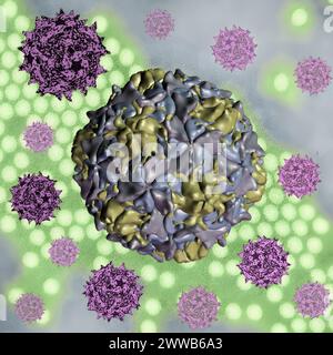 Œuvre d'art créative présentant des rendus 3D de capsides du virus de la polio sur une micrographie électronique de transmission d'une image du virus de la polio (électron de transmission. Banque D'Images