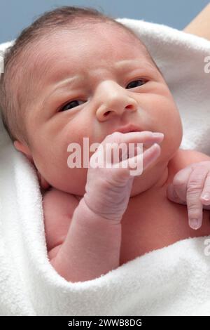 Visage du nouveau-né éveillé (3 jours) dans une serviette de bain. Banque D'Images