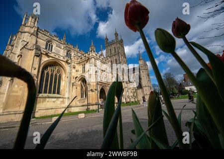 La cathédrale de Gloucester, où les derniers contrôles et les préparatifs sont effectués par le personnel et les bénévoles, où elle sera ouverte au public pour la saison 2024 des visites guidées. Date de la photo : vendredi 22 mars 2024. Banque D'Images