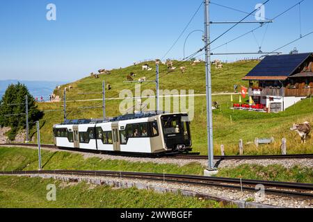 Train à crémaillère ARTH–Rigi sur la montagne Rigi dans les Alpes suisses en Suisse Banque D'Images