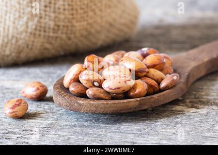 Haricots romains séchés non cuits dans un bol ou une cuillère sur la table, tas de légumineuses concept de haricots rouges Banque D'Images