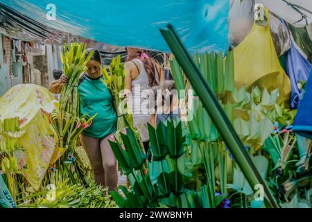 Antipolo City, Philippines. 23 mars 2024. Une femme porte des frondes de palmier dans la rue en préparation du dimanche des Rameaux à Antipolo City. Les frondes de palmier ont été historiquement liées à la victoire et au triomphe dans de nombreuses cultures. Le dimanche des Rameaux, qui, selon les fidèles catholiques, marque le début de la semaine dite semaine Sainte. (Photo de Ryan Eduard Benaid/SOPA images/Sipa USA) crédit : Sipa USA/Alamy Live News Banque D'Images