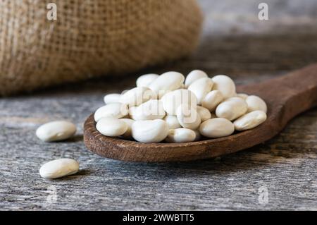 Haricots blancs séchés non cuits dans un bol ou une cuillère sur la table. Tas de légumineuses haricots de fond ( Phaseolus vulgaris ) Banque D'Images