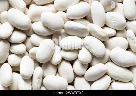 Haricots blancs séchés non cuits dans un bol ou une cuillère sur la table. Tas de légumineuses haricots de fond ( Phaseolus vulgaris ) Banque D'Images