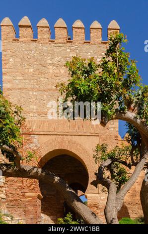 ALMERIA, ESPAGNE - 26 FÉVRIER 2024 la citadelle, le château et les remparts du Cerro de San Cristobal dans la ville espagnole d'Almeria, l'un des plus importants A Banque D'Images