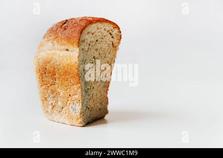Couper un morceau de pain de blé gâté avec de la moisissure isolée sur un fond blanc Banque D'Images