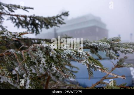 Größer könnten die Wettergegensätze nicht sein. Nach einem schon fast frühsommerlichen Freitag von Temperaturen bis 21 ÂC folgt der Kälteabsturz am Samstag. UM über 20 ÂC Sank das thermomètre. IM Erzgebirge Gab es sogar Luftfrost und Schneefall. Ein markanter Kälteeinbruch brachte sogar den Winter zurück. Die Menschen erwischte es eiskalt. Mütze und Handschuhe waren auf dem Fichtelberg Pflicht. Dazu Gab es heftige Sturmböen. Die gefühlte Temperatur lag BEI unter - 5 ÂC. Einige Frühblüher wurden von etwas Schnee bedeckt. Und auch die Winterausrüstung sollte noch nicht abgeschrieben werden. AM S. Banque D'Images