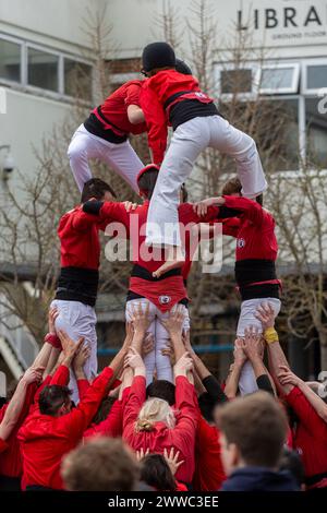 Londres, Royaume-Uni. 23 mars 2024. Les Castells, des « tours humaines », sont construites par les Castellers de Londres au Blue Market de Bermondsey. Le bâtiment de Castells remonte à plus de 200 ans, avec Castellers of London jouant et promouvant cette tradition catalane à Londres depuis 2015. Credit : Stephen Chung / Alamy Live News Banque D'Images