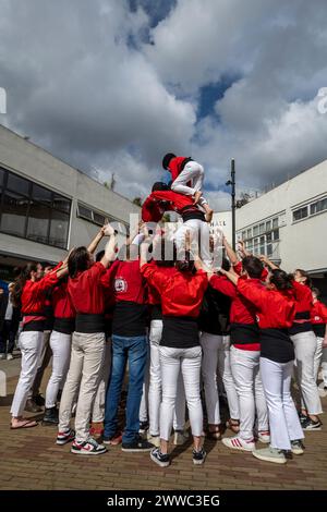 Londres, Royaume-Uni. 23 mars 2024. Les Castells, des « tours humaines », sont construites par les Castellers de Londres au Blue Market de Bermondsey. Le bâtiment de Castells remonte à plus de 200 ans, avec Castellers of London jouant et promouvant cette tradition catalane à Londres depuis 2015. Credit : Stephen Chung / Alamy Live News Banque D'Images