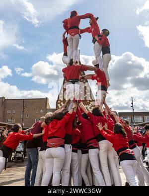 Londres, Royaume-Uni. 23 mars 2024. Les Castells, des « tours humaines », sont construites par les Castellers de Londres au Blue Market de Bermondsey. Le bâtiment de Castells remonte à plus de 200 ans, avec Castellers of London jouant et promouvant cette tradition catalane à Londres depuis 2015. Credit : Stephen Chung / Alamy Live News Banque D'Images