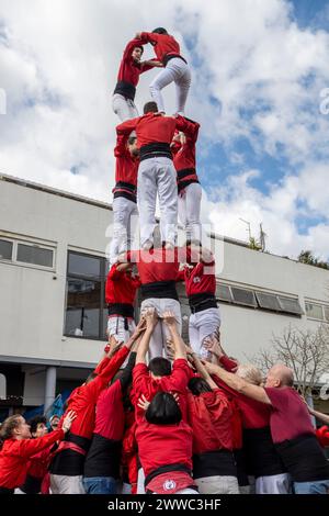 Londres, Royaume-Uni. 23 mars 2024. Les Castells, des « tours humaines », sont construites par les Castellers de Londres au Blue Market de Bermondsey. Le bâtiment de Castells remonte à plus de 200 ans, avec Castellers of London jouant et promouvant cette tradition catalane à Londres depuis 2015. Credit : Stephen Chung / Alamy Live News Banque D'Images