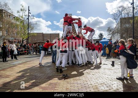 Londres, Royaume-Uni. 23 mars 2024. Les Castells, des « tours humaines », sont construites par les Castellers de Londres au Blue Market de Bermondsey. Le bâtiment de Castells remonte à plus de 200 ans, avec Castellers of London jouant et promouvant cette tradition catalane à Londres depuis 2015. Credit : Stephen Chung / Alamy Live News Banque D'Images