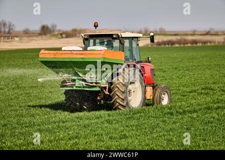 Tracteur épandant l'engrais à travers le pulvérisateur sur les récoltes dans le champ Banque D'Images