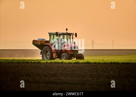 Tracteur épandant l'engrais sur le champ au coucher du soleil Banque D'Images