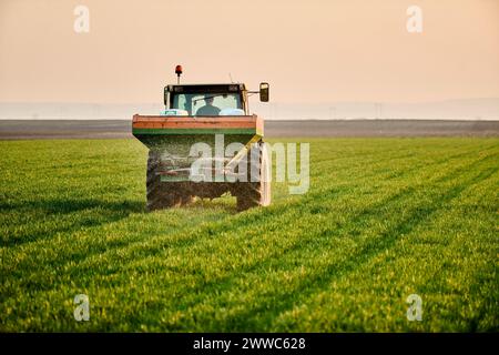 Jeune agriculteur en tracteur fertilisant les cultures de blé dans le champ vert Banque D'Images