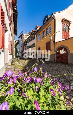 Autriche, Vorarlberg, Bregenz, ruelle de la vieille ville au printemps Banque D'Images