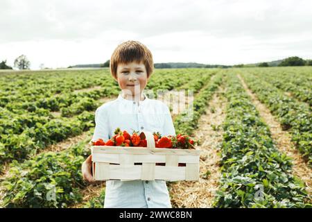 Garçon souriant tenant un panier de fraises dans le champ Banque D'Images