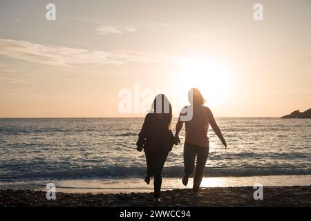 Amis insouciants qui courent sur le rivage à la plage du coucher du soleil Banque D'Images