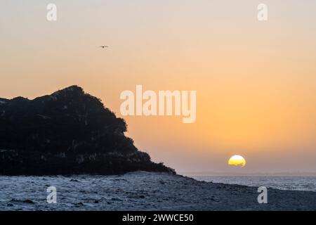 Allemagne, Schleswig-Holstein, Hornum, Hornum Odde plage au lever du soleil Banque D'Images