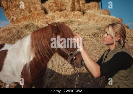 femme peigne les cheveux de cheval, brossage, soin du poney tacheté. frange Banque D'Images