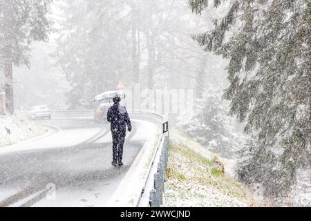 Schneefall im März BEI einem kräftigen Schneeschauer ist die Landschaft rund um den Großen Feldberg im Taunus wieder winterlich mit einer dünnen Schneedecke., Schmitten Hessen Deutschland *** chute de neige en mars après une forte averse de neige, le paysage autour du Großer Feldberg dans le Taunus est une fois de plus hivernal avec une mince couverture de neige, Schmitten Hessen Allemagne Banque D'Images