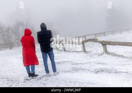 Schneefall im März BEI einem kräftigen Schneeschauer ist die Landschaft rund um den Großen Feldberg im Taunus wieder winterlich mit einer dünnen Schneedecke., Schmitten Hessen Deutschland *** chute de neige en mars après une forte averse de neige, le paysage autour du Großer Feldberg dans le Taunus est une fois de plus hivernal avec une mince couverture de neige, Schmitten Hessen Allemagne Banque D'Images