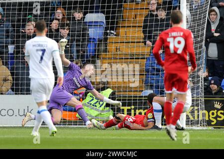 Birkenhead, Royaume-Uni. 23 mars 2024. Jay Williams de Crawley Town (26) marque le 2e but de son équipe. EFL Skybet Football League Two match, Tranmere Rovers v Crawley Town à Prenton Park, Birkenhead, Wirral le samedi 23 mars 2024. Cette image ne peut être utilisée qu'à des fins éditoriales. Usage éditorial exclusif, .pic par Chris Stading/ crédit : Andrew Orchard sports Photography/Alamy Live News Banque D'Images