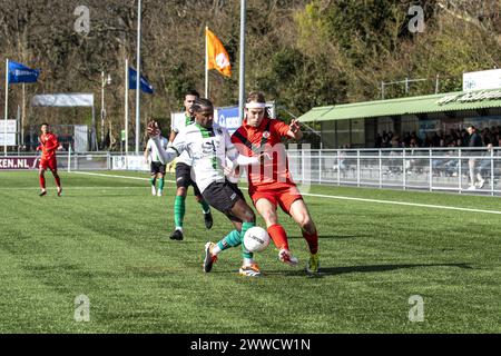 Scheveningen, pays-Bas. 23 mars 2024. SCHEVENINGEN, 23-03-2024, Sportpark Houtrust Dutch Football Tweede divisie, saison 2023/2024 entre Scheveningen et AFC Amsterdam crédit : Pro Shots/Alamy Live News Banque D'Images