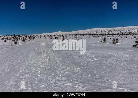 Vue de Zlate navrsi dans les montagnes de Krkonose (géant), République tchèque Banque D'Images