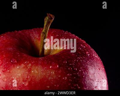 Une délicieuse pomme rouge fraîche et croustillante avec des gouttes d'eau. Fond noir. Banque D'Images