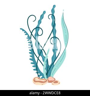 Algues. Algues dessinées à la main algues colorées. Plantes sous-marines. Illustration plate moderne. Illustration vectorielle Illustration de Vecteur