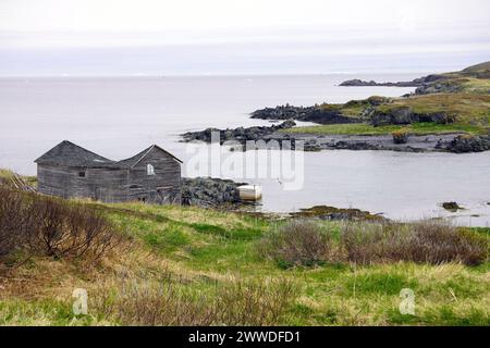 Maison en bois abandonnée et effondrée située dans une prairie herbeuse sur la côte nord-est de Terre-Neuve Banque D'Images