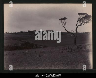 Description : Longwood Plain. Maison en distance. Lieu : Sainte-Hélène date : 1914 Banque D'Images