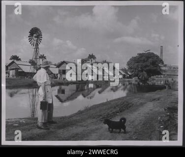 Description : Antilles. 'Sugar in the West Indies - photos générales. Ce canal sépare les champs de sucre des habitations des ouvriers du domaine. Ces maisons à gauche ont été construites par la compagnie. Photographie n° : D. 48483. Photographie officielle des Antilles compilée par le Central Office of information. Lieu : Antilles date : [1960] caraïbes, caribbeanthralens Banque D'Images