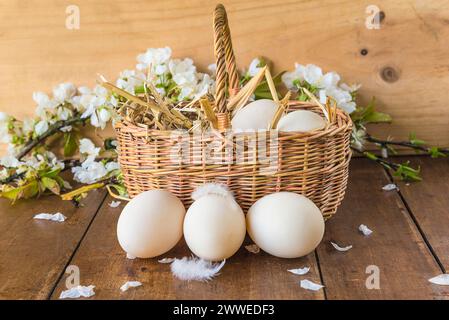 Concept de vacances joyeuses de pâques ; oeufs de poule et panier en osier Banque D'Images