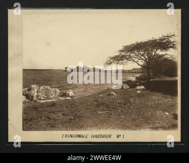 Description : Port de Trincomale No.1. Localisation : Trincomale, Ceylon asia, srilanka, ceylon, asiathrough alens Banque D'Images